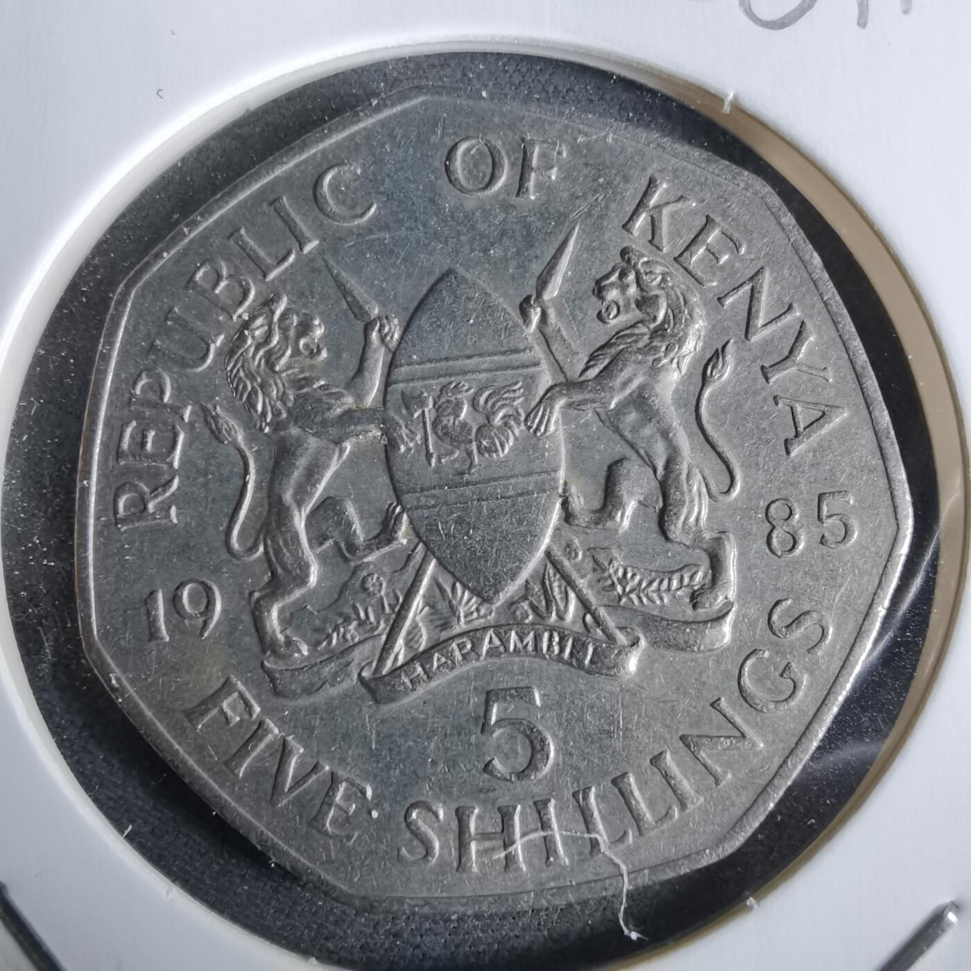 沼泽如烟--第961场