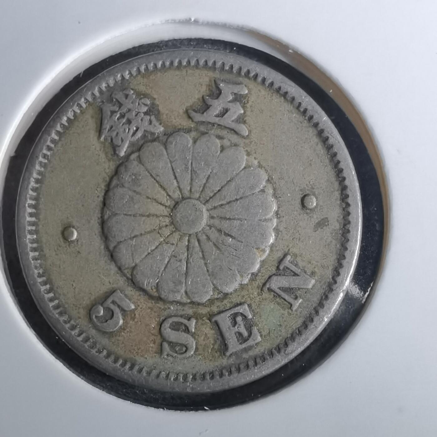 沼泽如烟--第962场