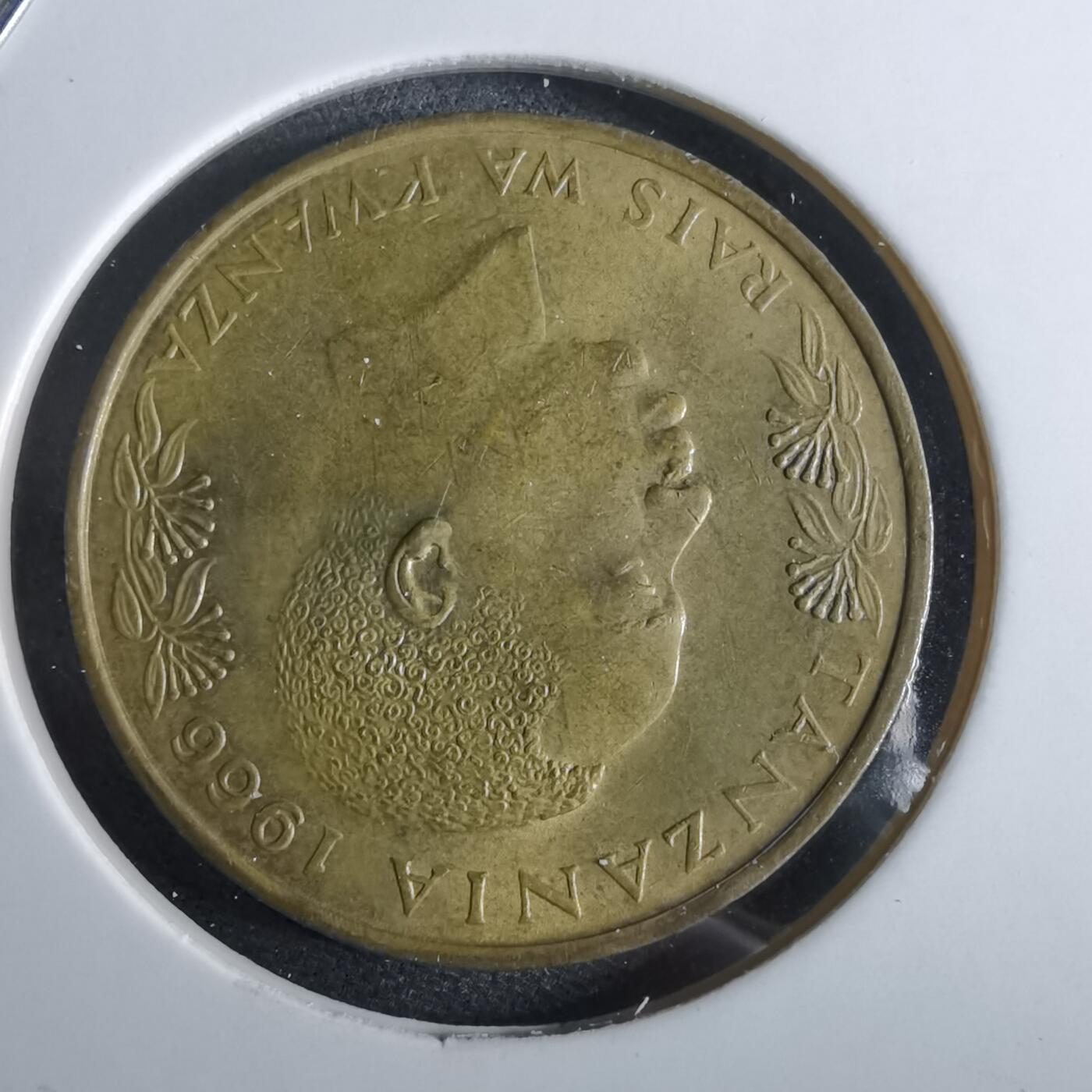 沼泽如烟--第961场