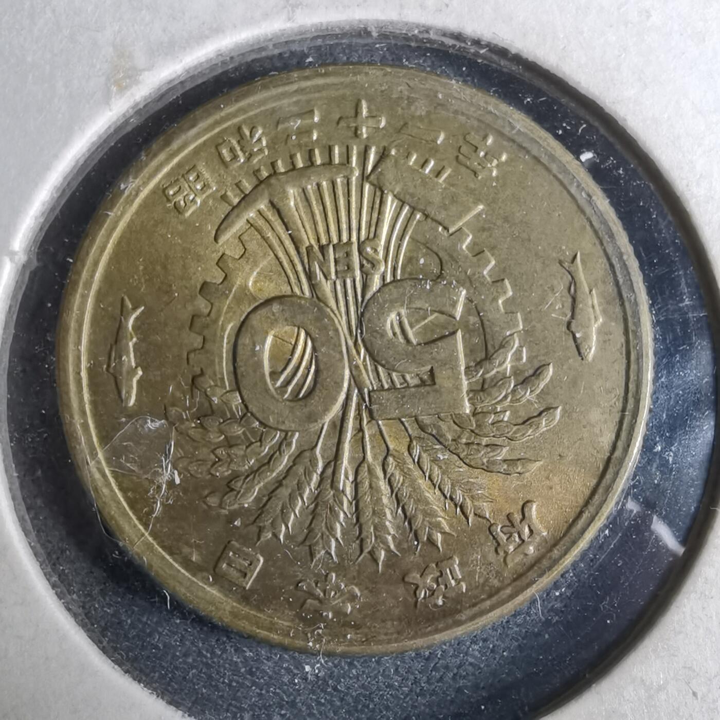 沼泽如烟--第962场