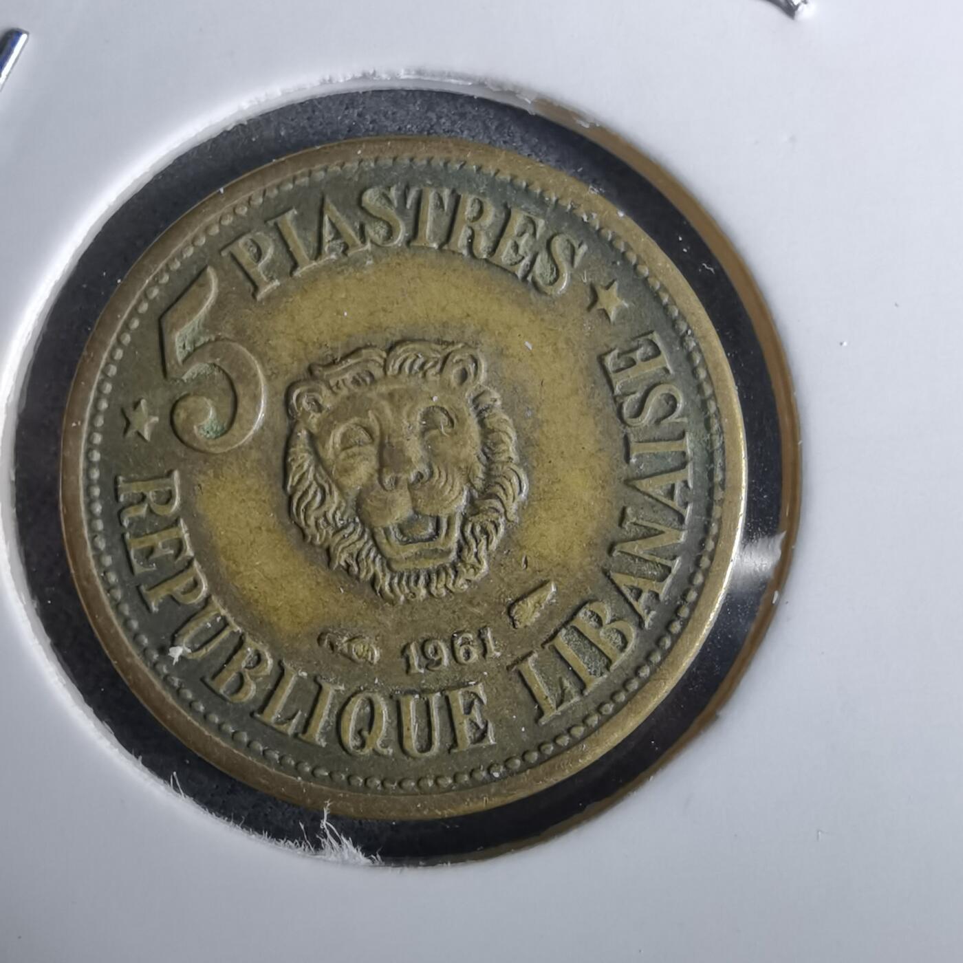 沼泽如烟--第961场