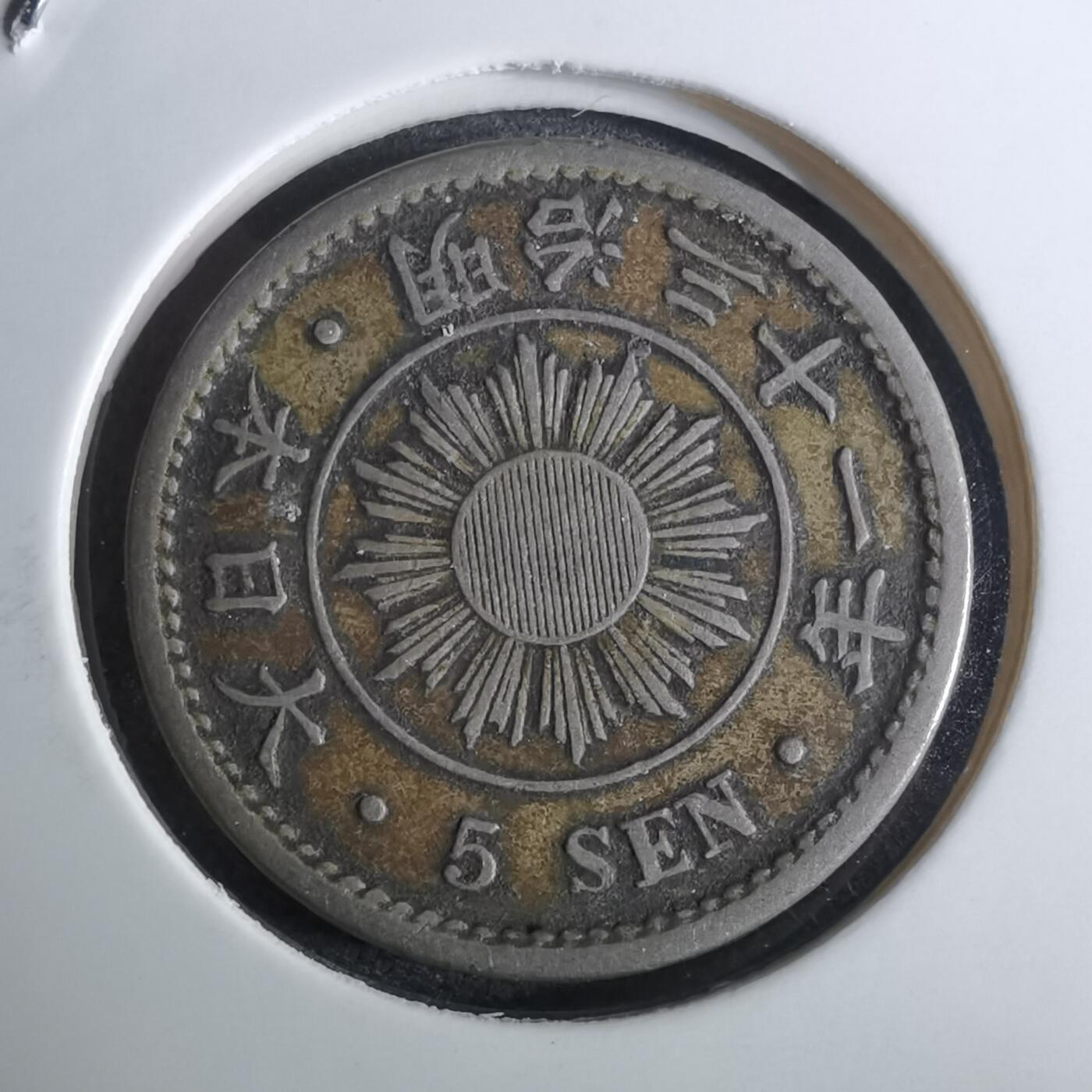 沼泽如烟--第962场