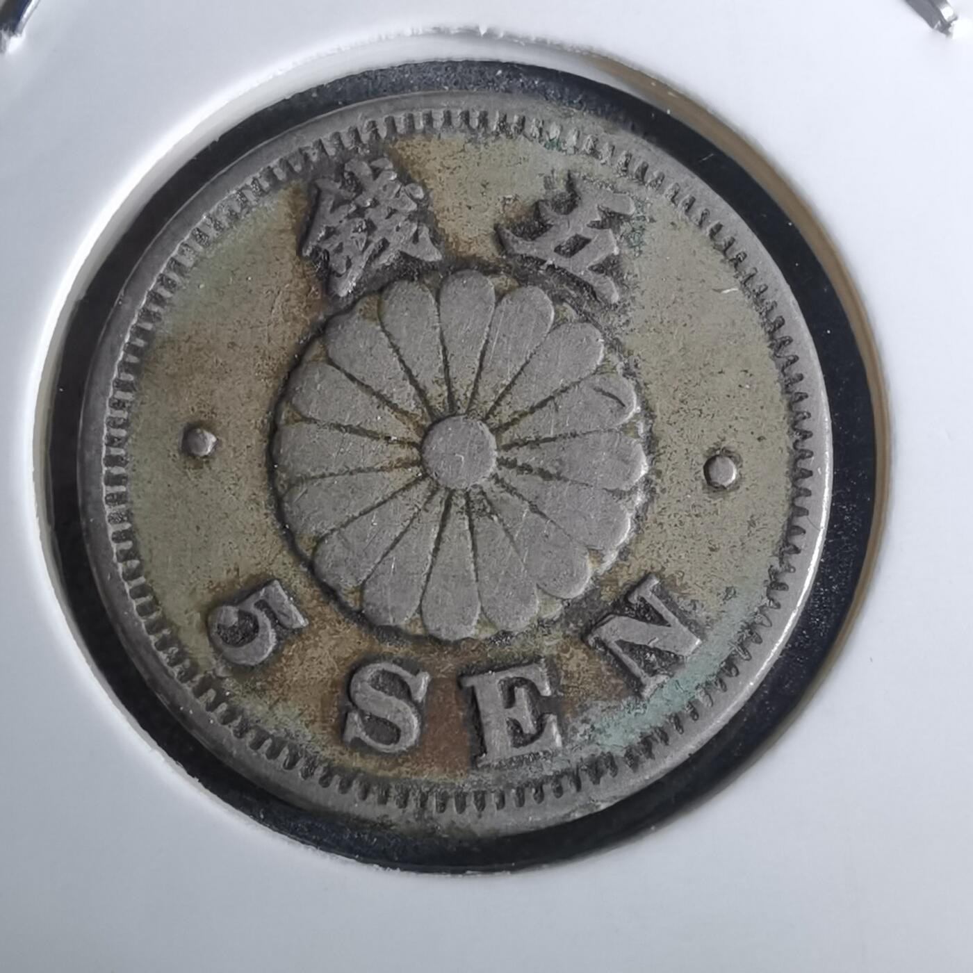 沼泽如烟--第962场