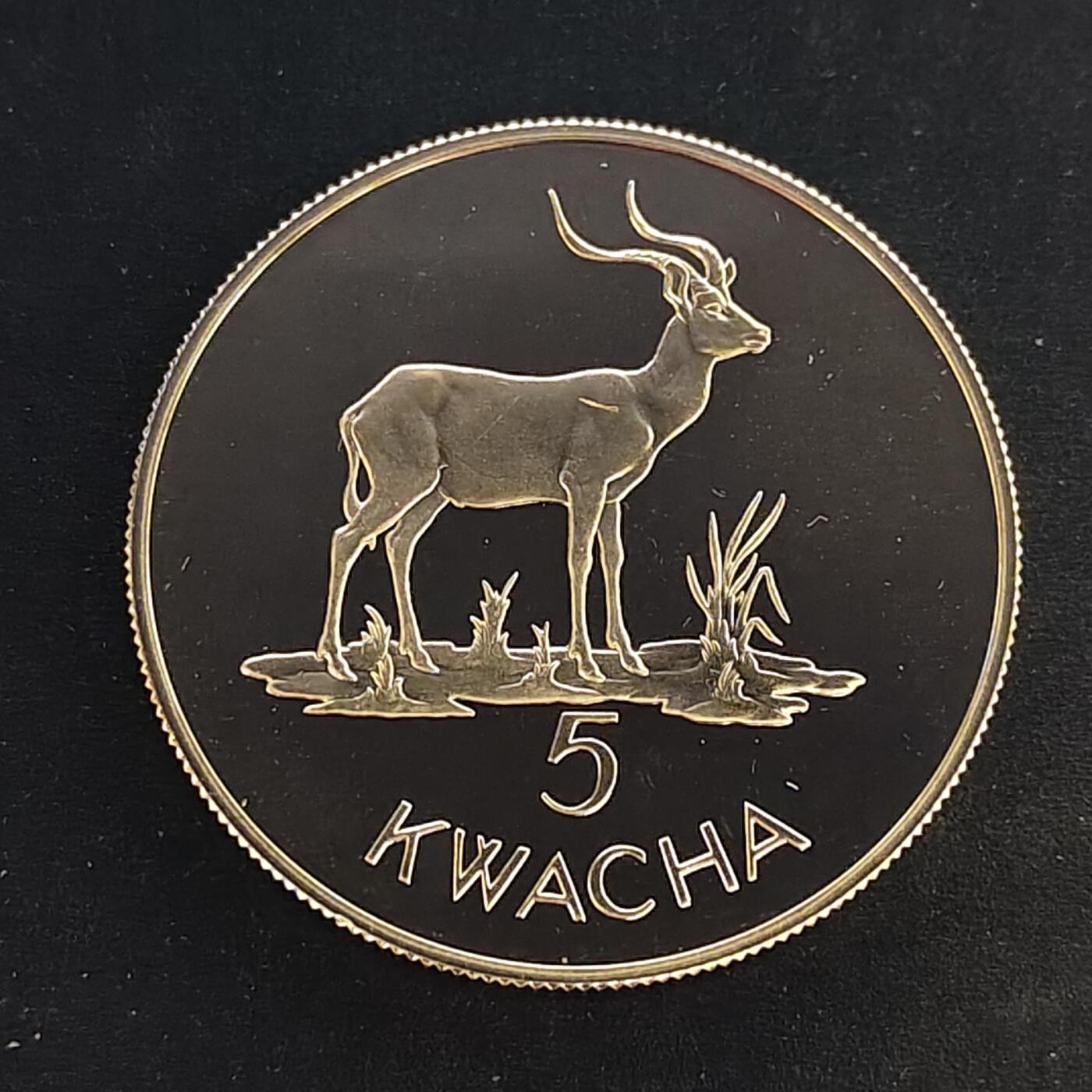 【全场包邮】纯粹捡漏拍495场-持续更新中 【少见】赞比亚1979年5克瓦查保护动物非洲长角羚超大精制纪念银币-量3407