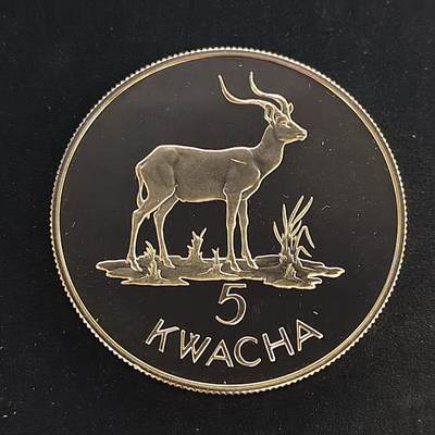【全场包邮】纯粹捡漏拍495场-持续更新中 - 【少见】赞比亚1979年5克瓦查保护动物非洲长角羚超大精制纪念银币-量3407