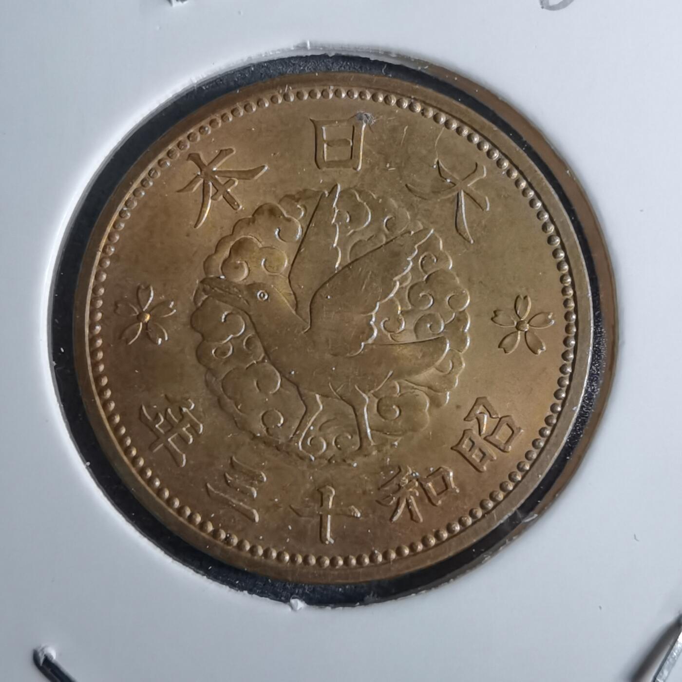 沼泽如烟--第962场