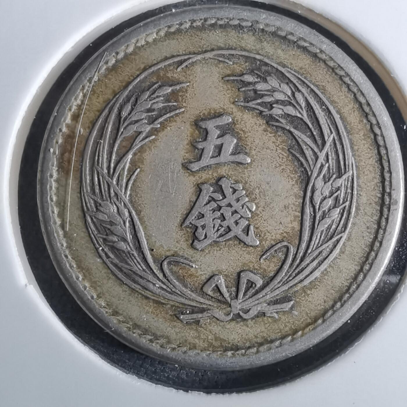 沼泽如烟--第962场