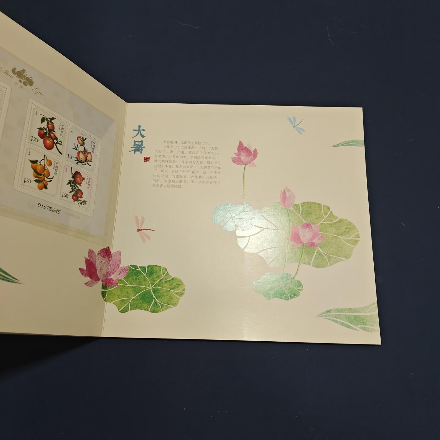 【全场包邮】纯粹捡漏拍495场-持续更新中 【邮票】邮票书系列-二十四节气（夏季）