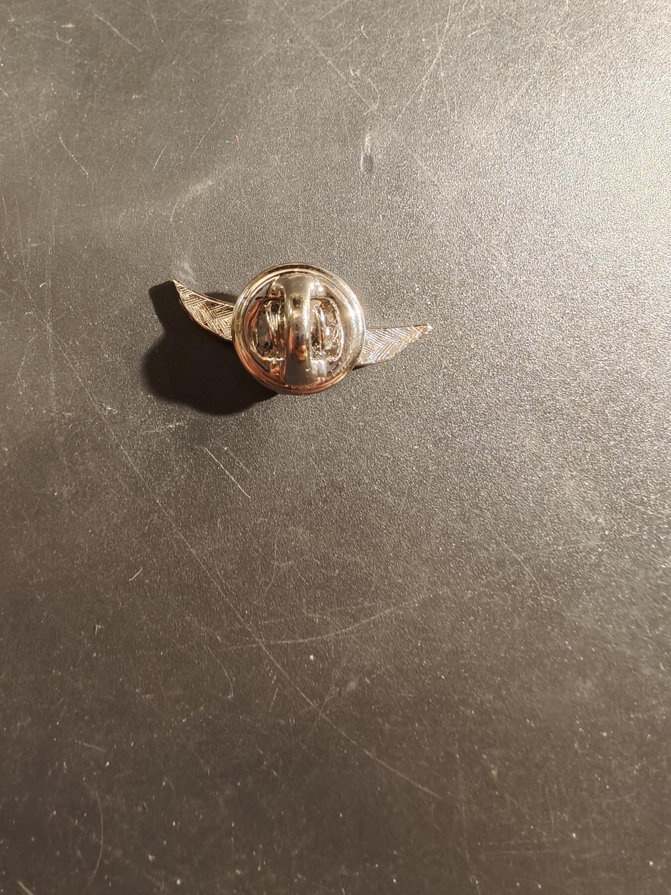 老王徽章第177期 美国空军证章