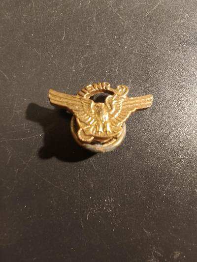 老王徽章第177期 - 美国海军预备役证章