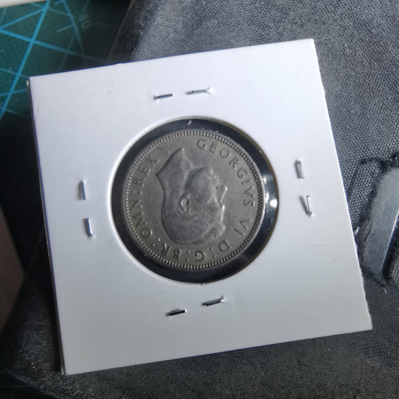 沼泽如烟--第964场