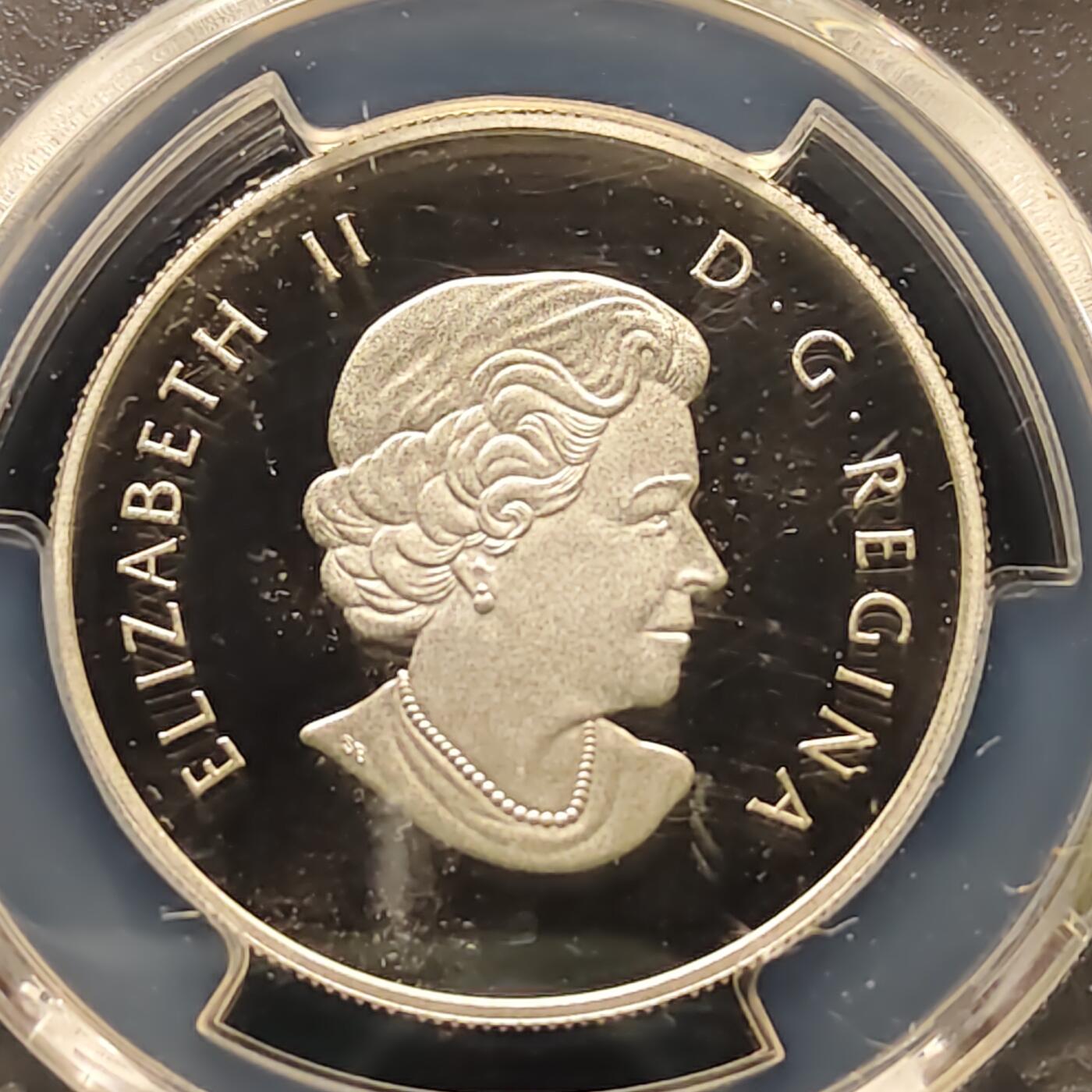 【全场包邮】纯粹捡漏拍495场-持续更新中 加拿大