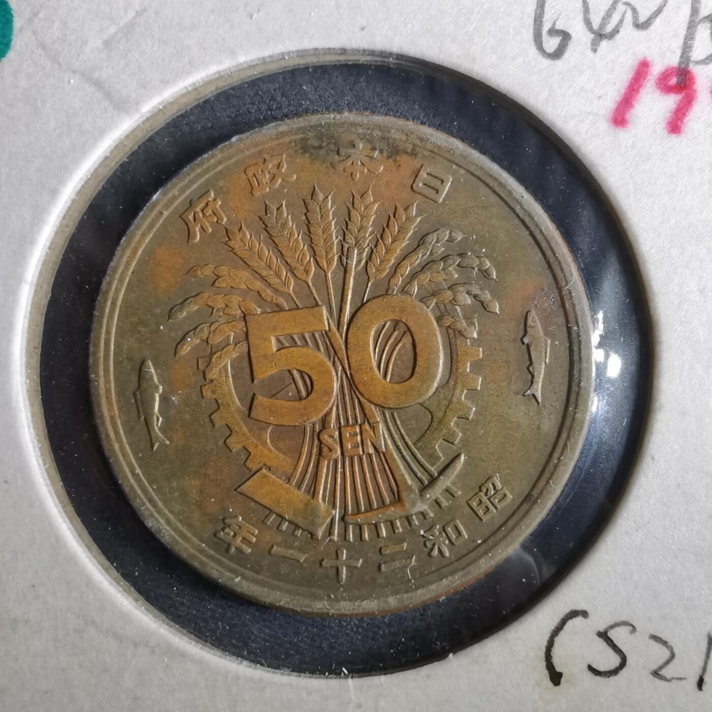 沼泽如烟--第964场