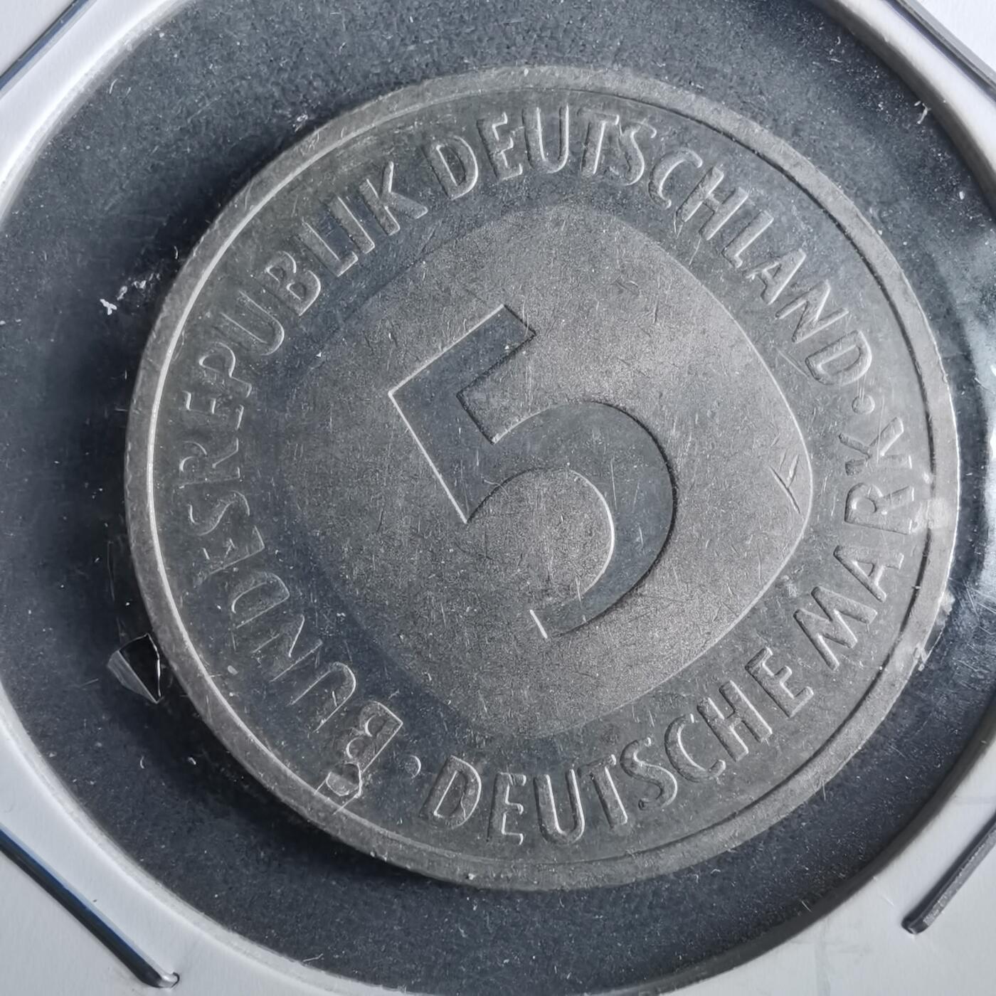 沼泽如烟--第964场