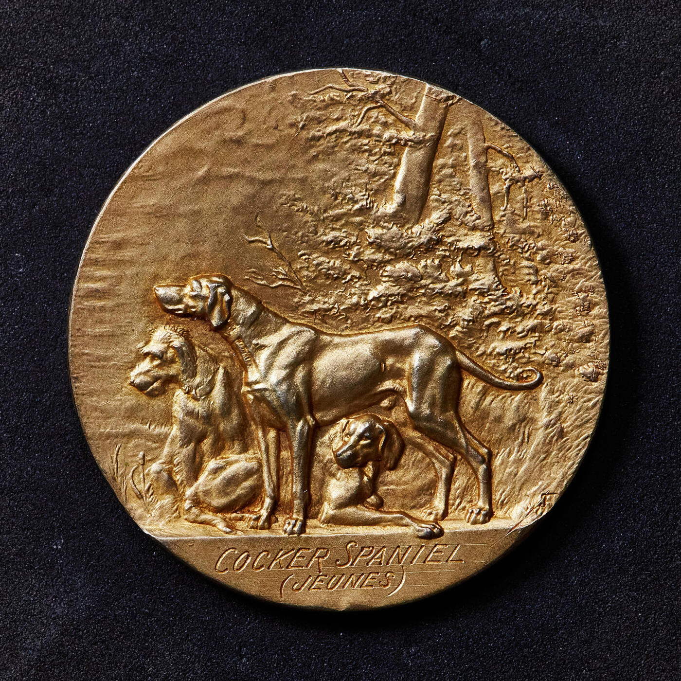 【俄甄集藏】“万象更新、马呈祥瑞”迎新春俄甄精品场-2026年(047)01-21 星期三 晚 19:30 全场包邮 法国1914年吉耶讷-加斯科涅犬类协会镀金大银章，原盒，直径：45mm，克重：45.42克，金水足，设计精美，丰饶角铭