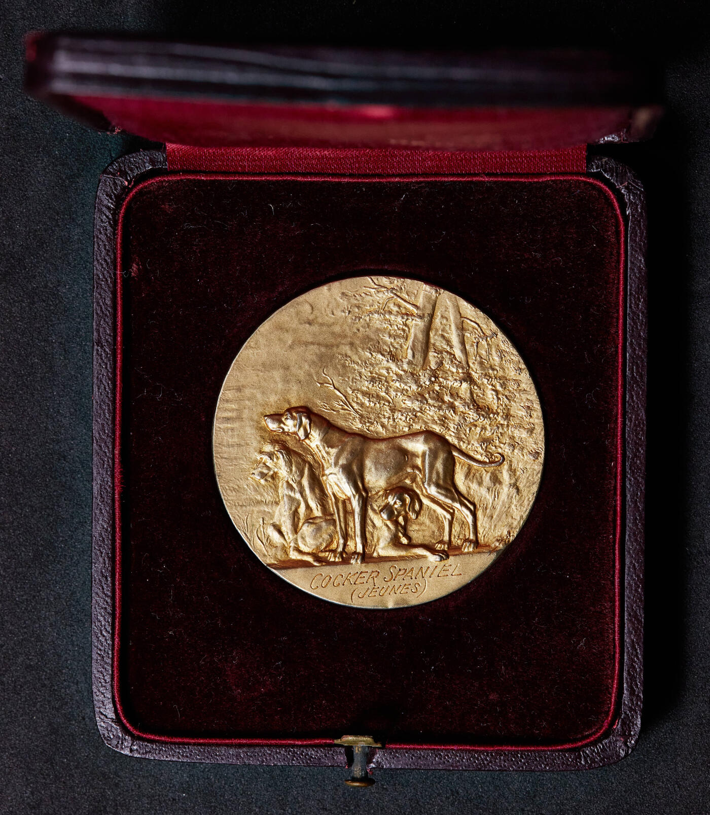 【俄甄集藏】“万象更新、马呈祥瑞”迎新春俄甄精品场-2026年(047)01-21 星期三 晚 19:30 全场包邮 法国1914年吉耶讷-加斯科涅犬类协会镀金大银章，原盒，直径：45mm，克重：45.42克，金水足，设计精美，丰饶角铭