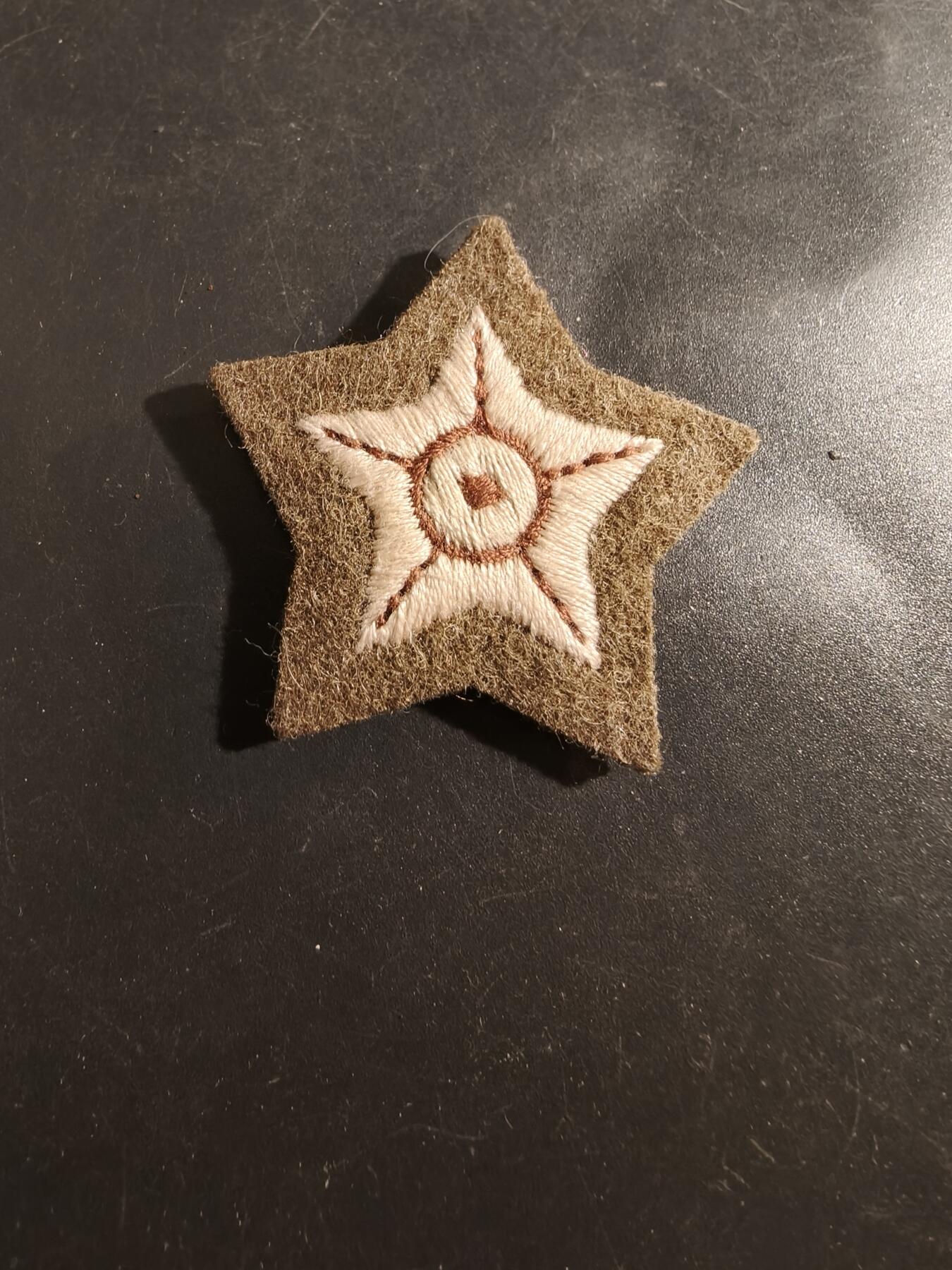 老王徽章第177期 英国陆军机动运输驾驶员臂章