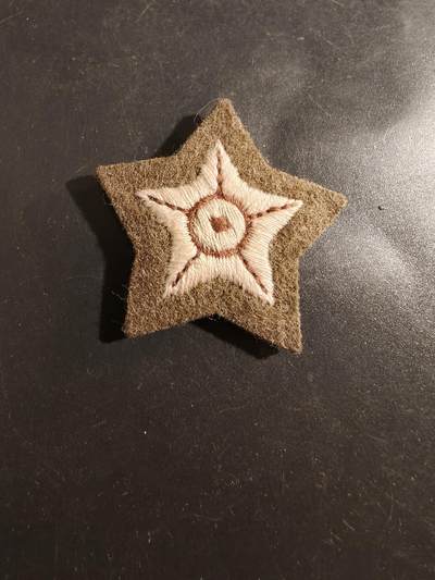 老王徽章第177期 - 英国陆军机动运输驾驶员臂章