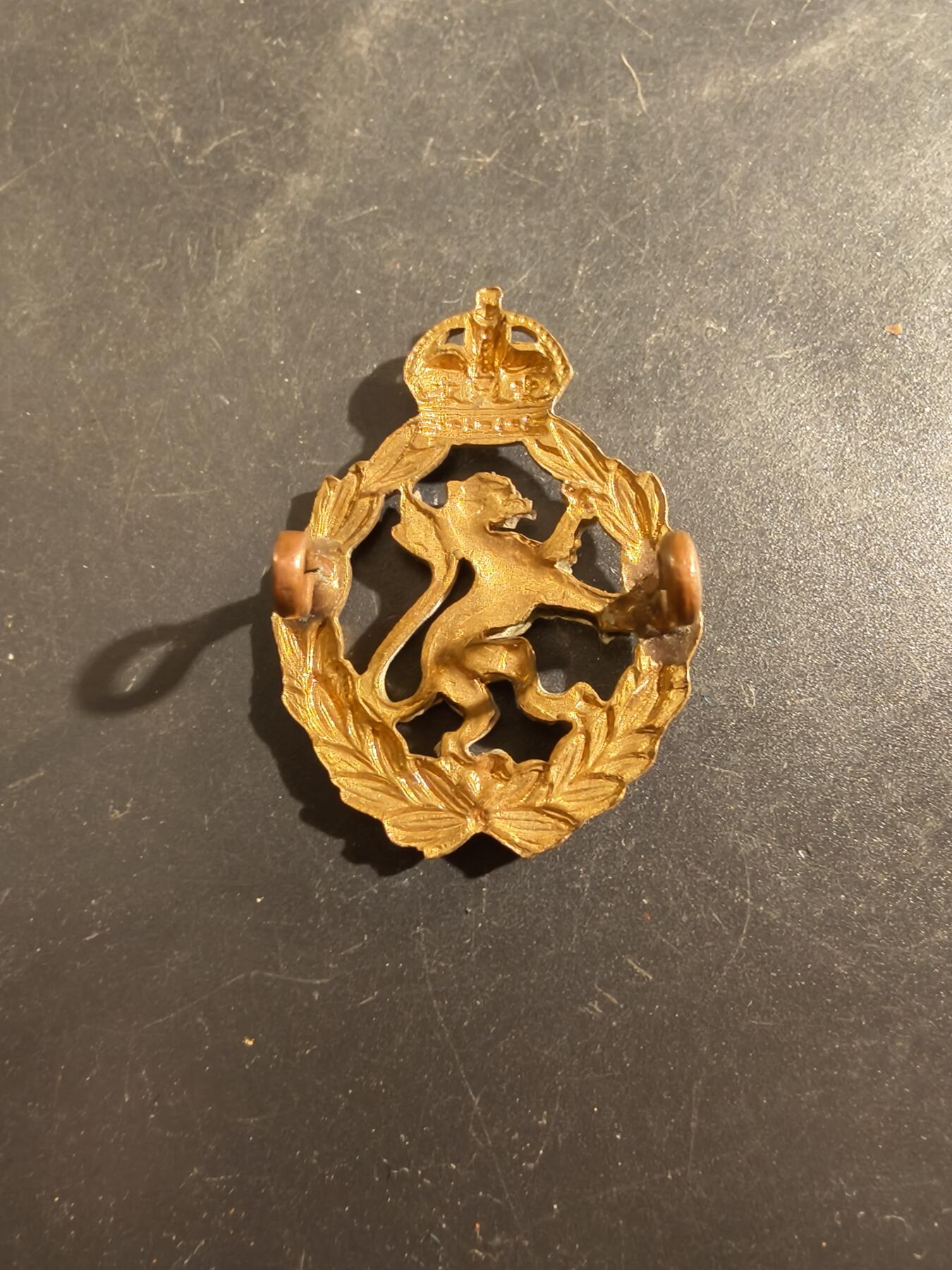 老王徽章第177期