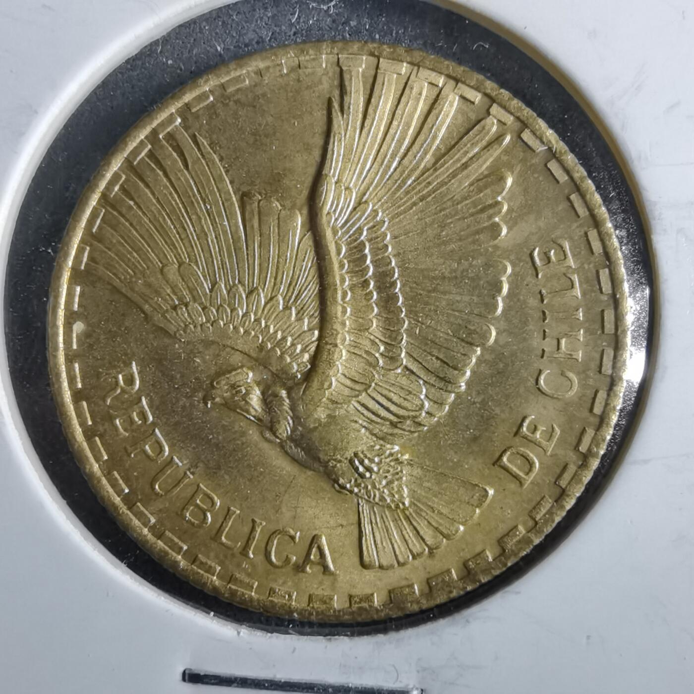 沼泽如烟--第964场