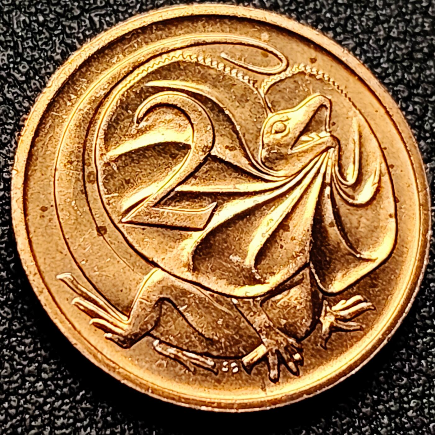 泉币菌-第171场- 精品福利场 。