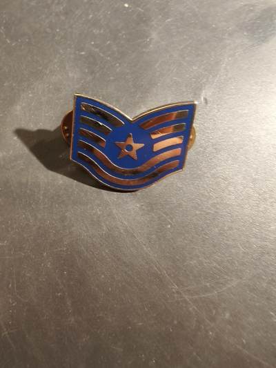 老王徽章第177期 - 美国空军E-6 技术军士金属军衔