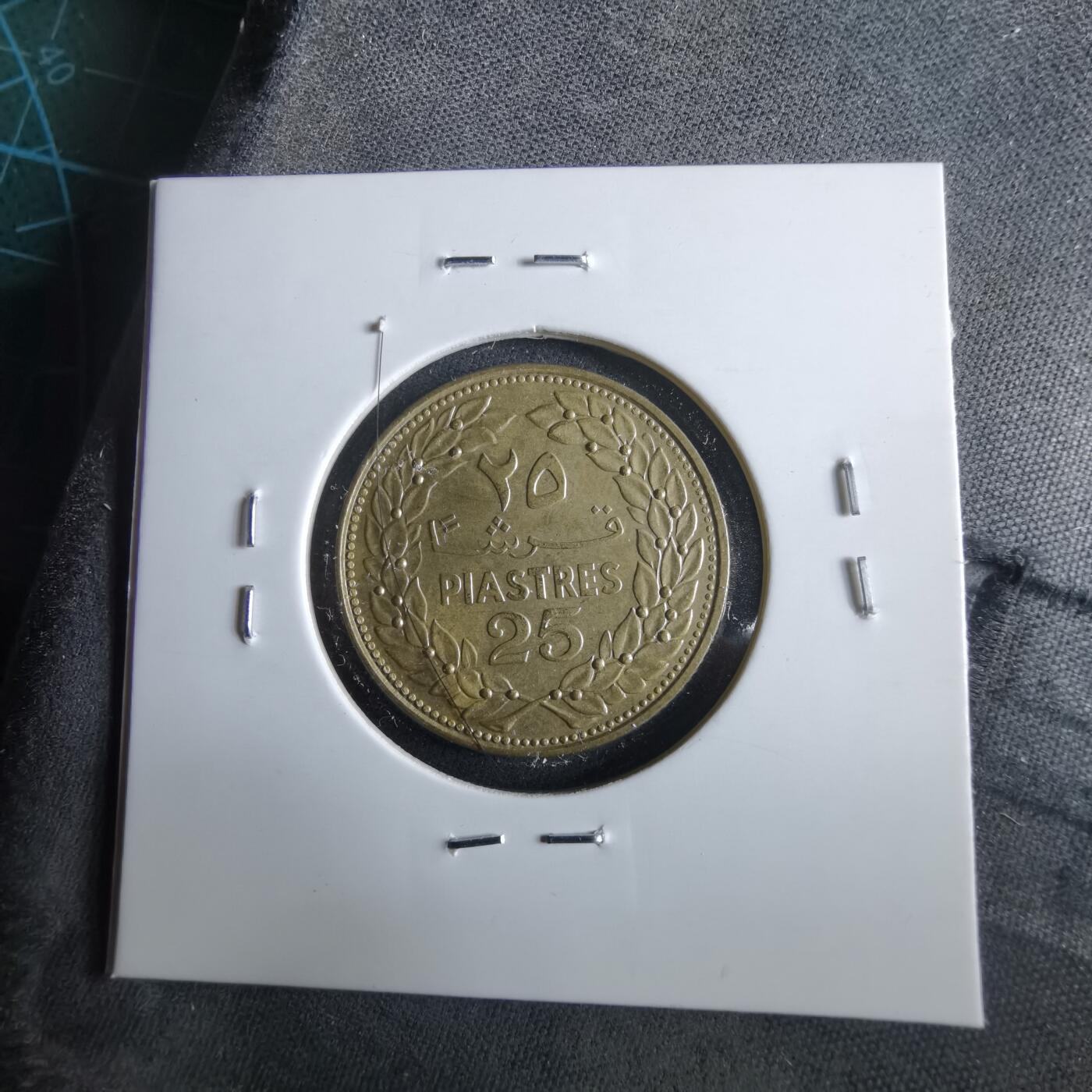 沼泽如烟--第964场