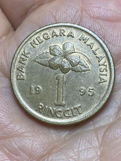 2026年第九场(总第一百七十八场）外国好品散币场(免佣金) - 马来西亚🇲🇾1995年1林吉特(第二套第二版，无货币符号版)