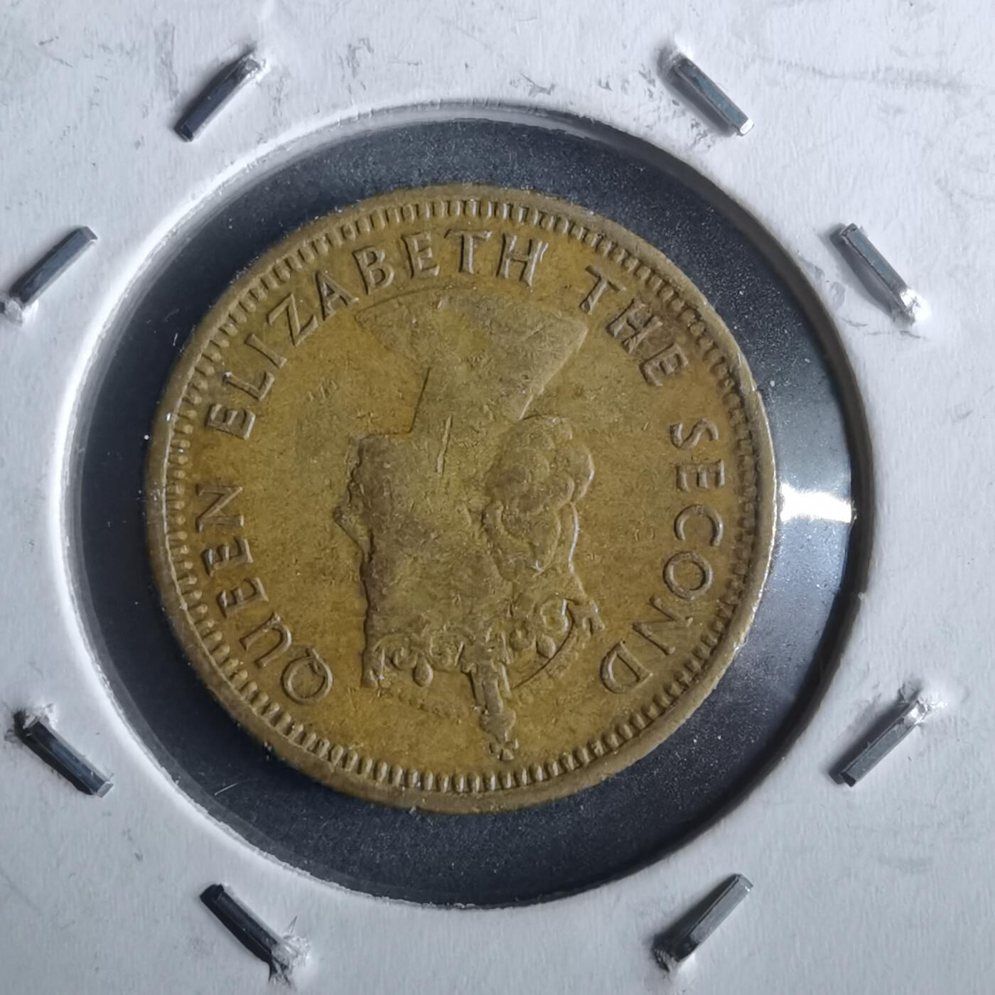 沼泽如烟--第964场