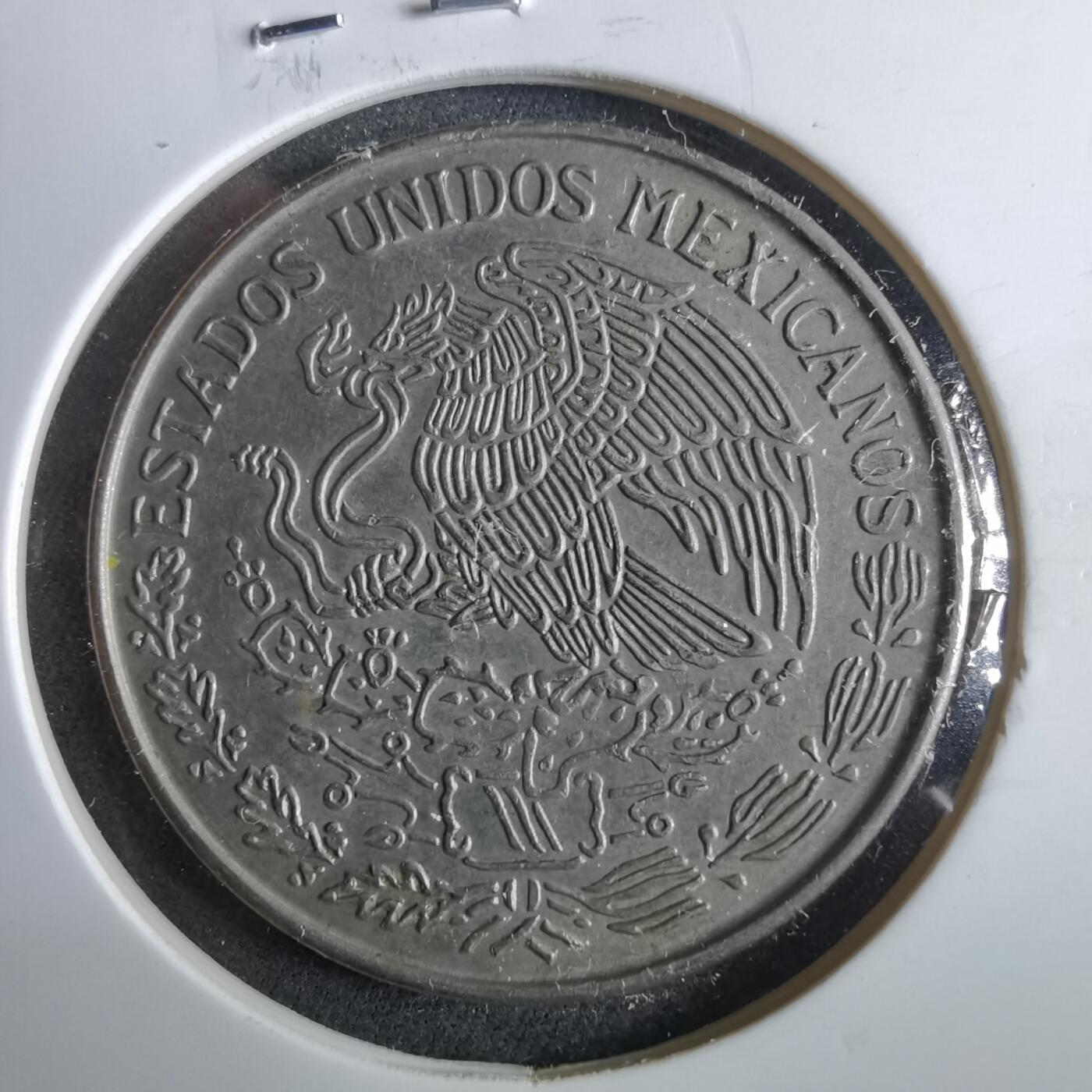 沼泽如烟--第964场