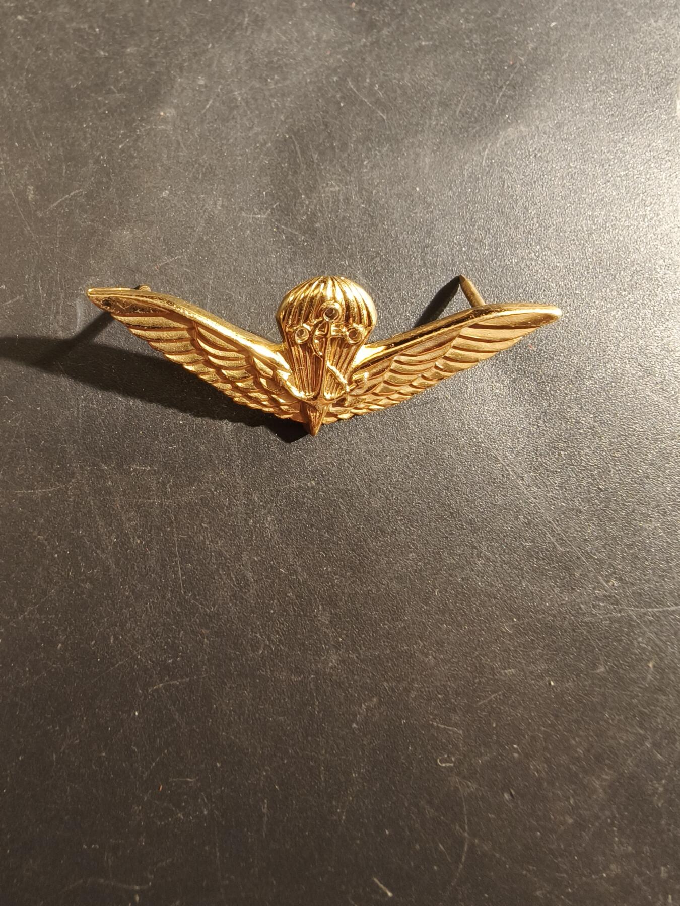 老王徽章第177期 美国海军空降兵证章