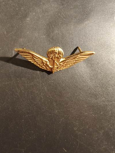 老王徽章第177期 - 美国海军空降兵证章