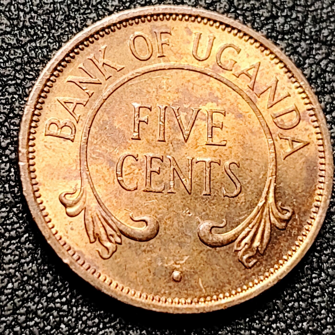 泉币菌-第171场- 精品福利场 。