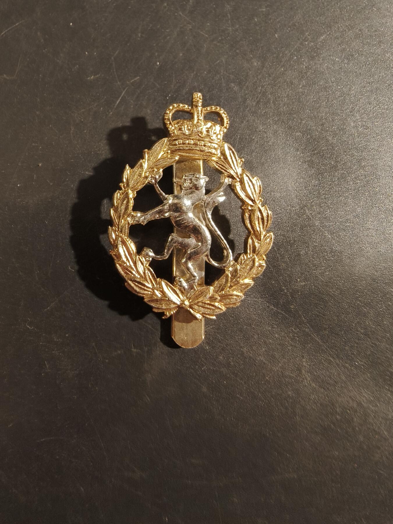 老王徽章第177期