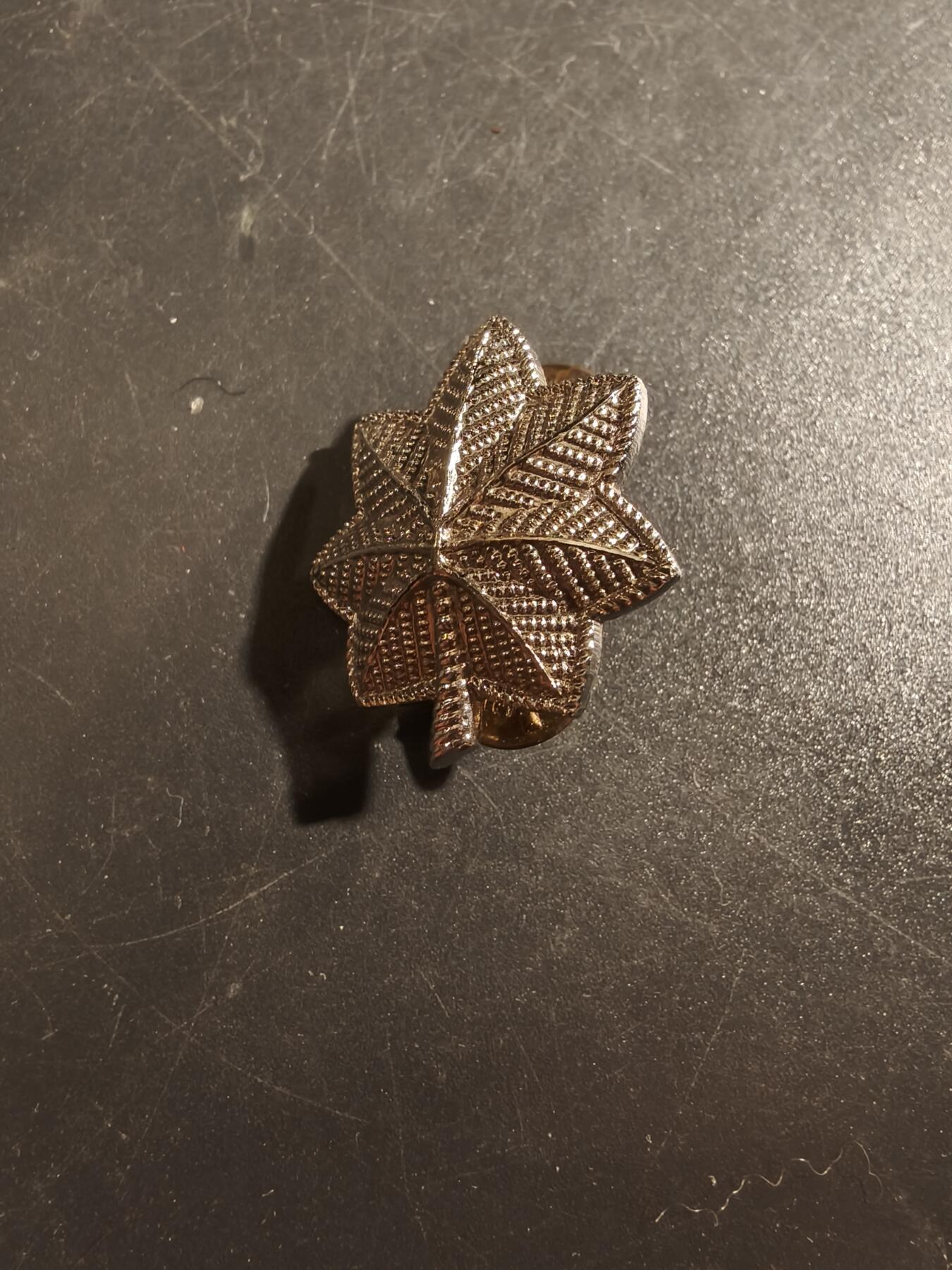 老王徽章第177期