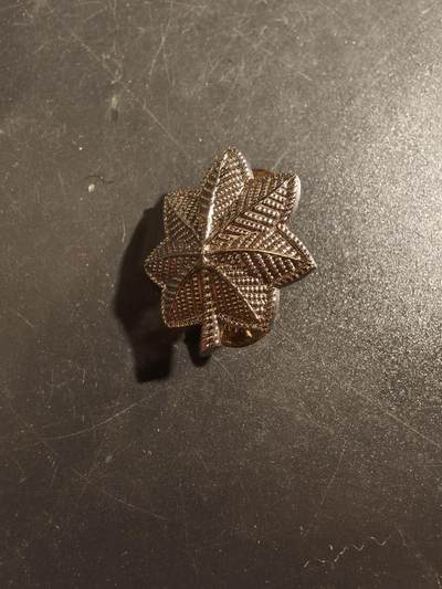 老王徽章第177期 - 美国陆军中校军衔领章