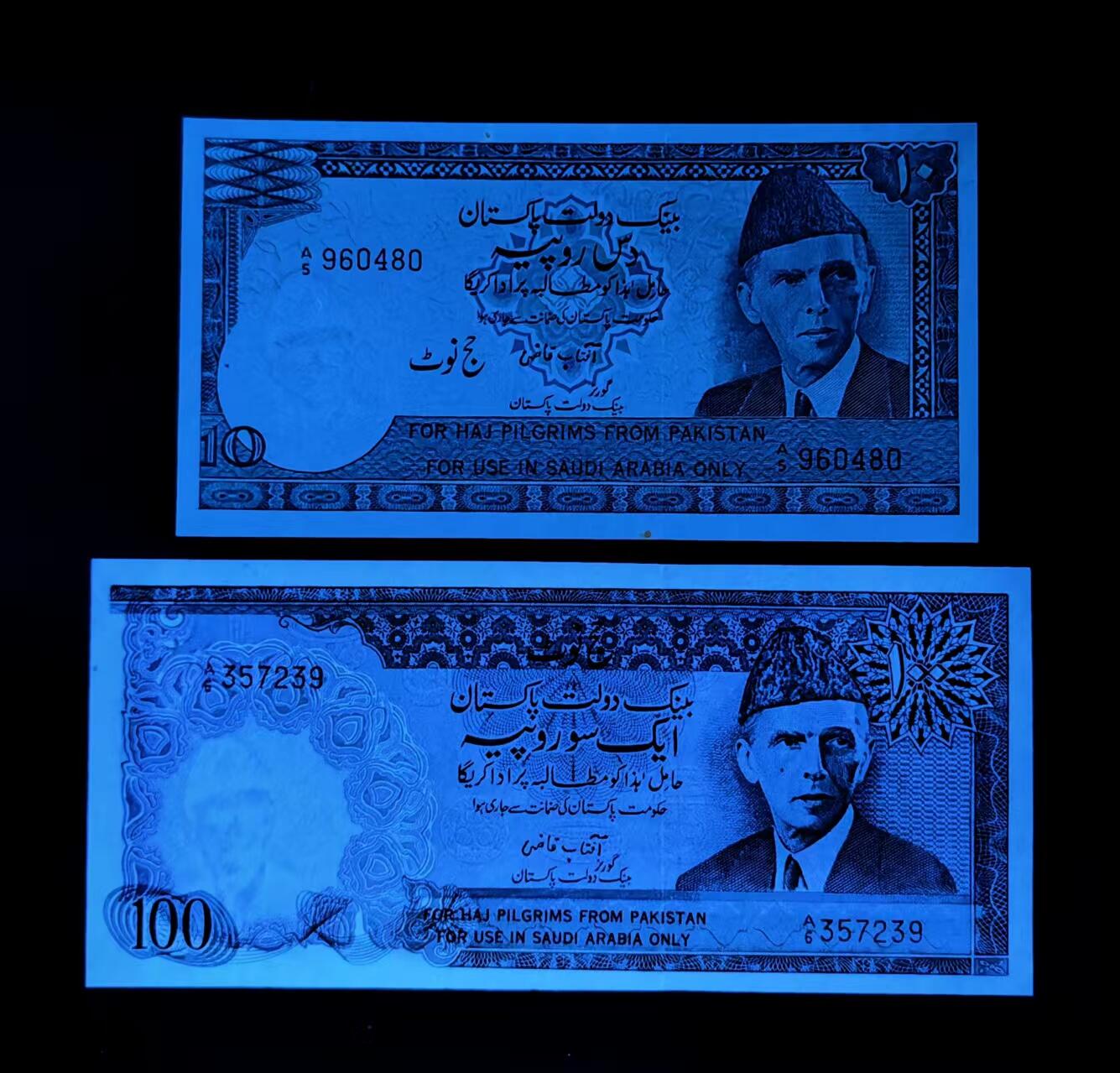 2026一月第三期，总213期