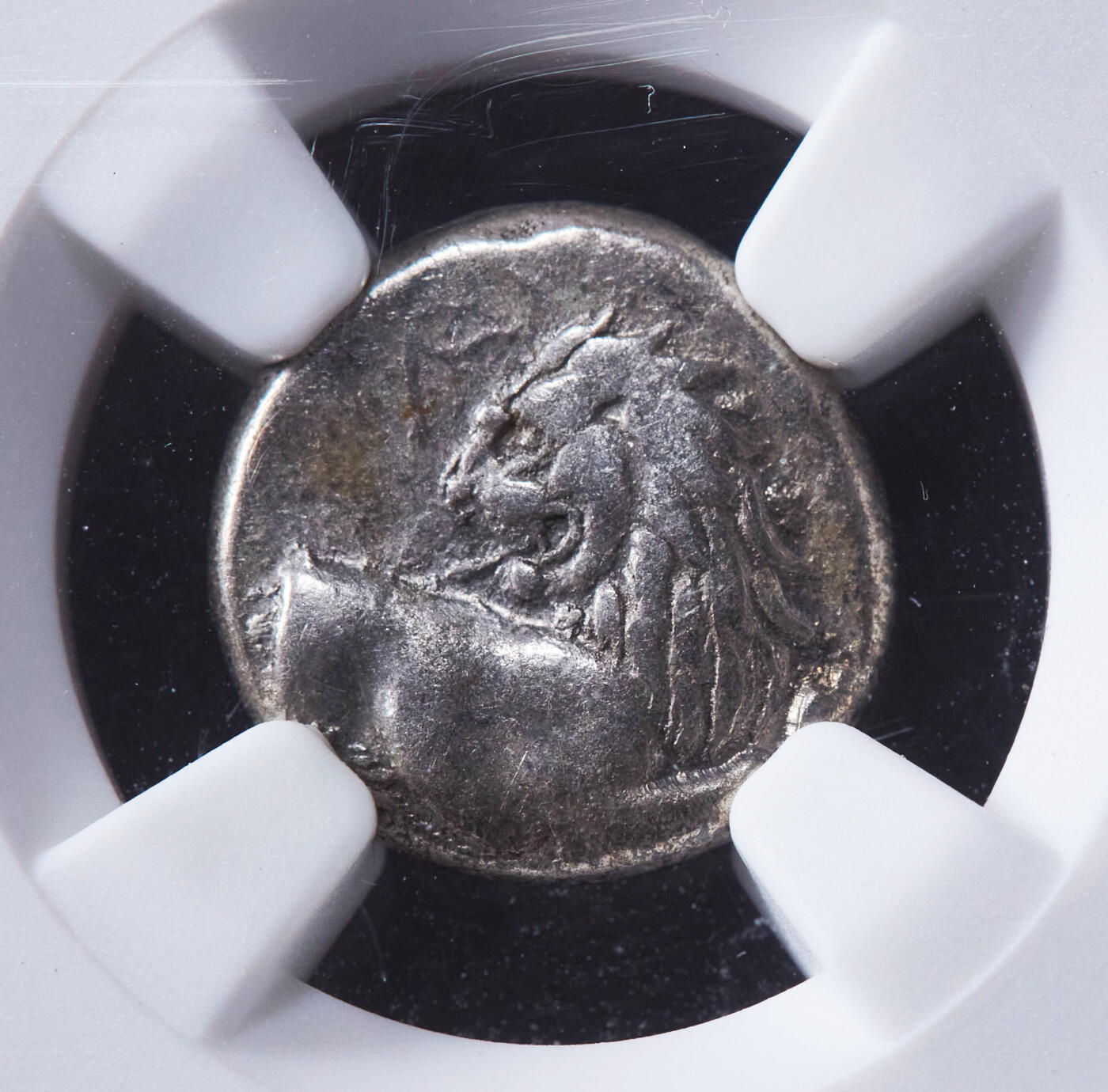 【俄甄集藏】“万象更新、马呈祥瑞”迎新春俄甄精品场-2026年(047)01-21 星期三 晚 19:30 全场包邮 古希腊色雷斯切尔松尼索斯城公元前4世纪半德拉克马回首狮子银币，NGC VF，切尔松尼索斯城发行，正面是回首狮子图案，背面为四格戳记，打制清晰，原味包浆，盒体有破损