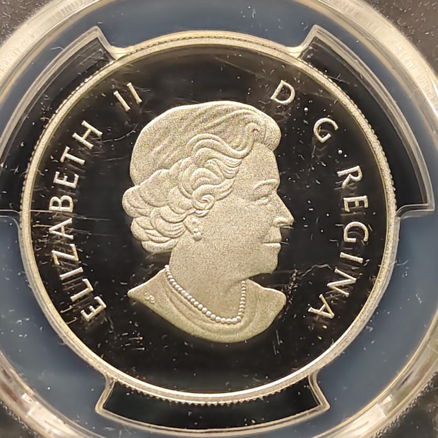 【全场包邮】纯粹捡漏拍495场-持续更新中 加拿大