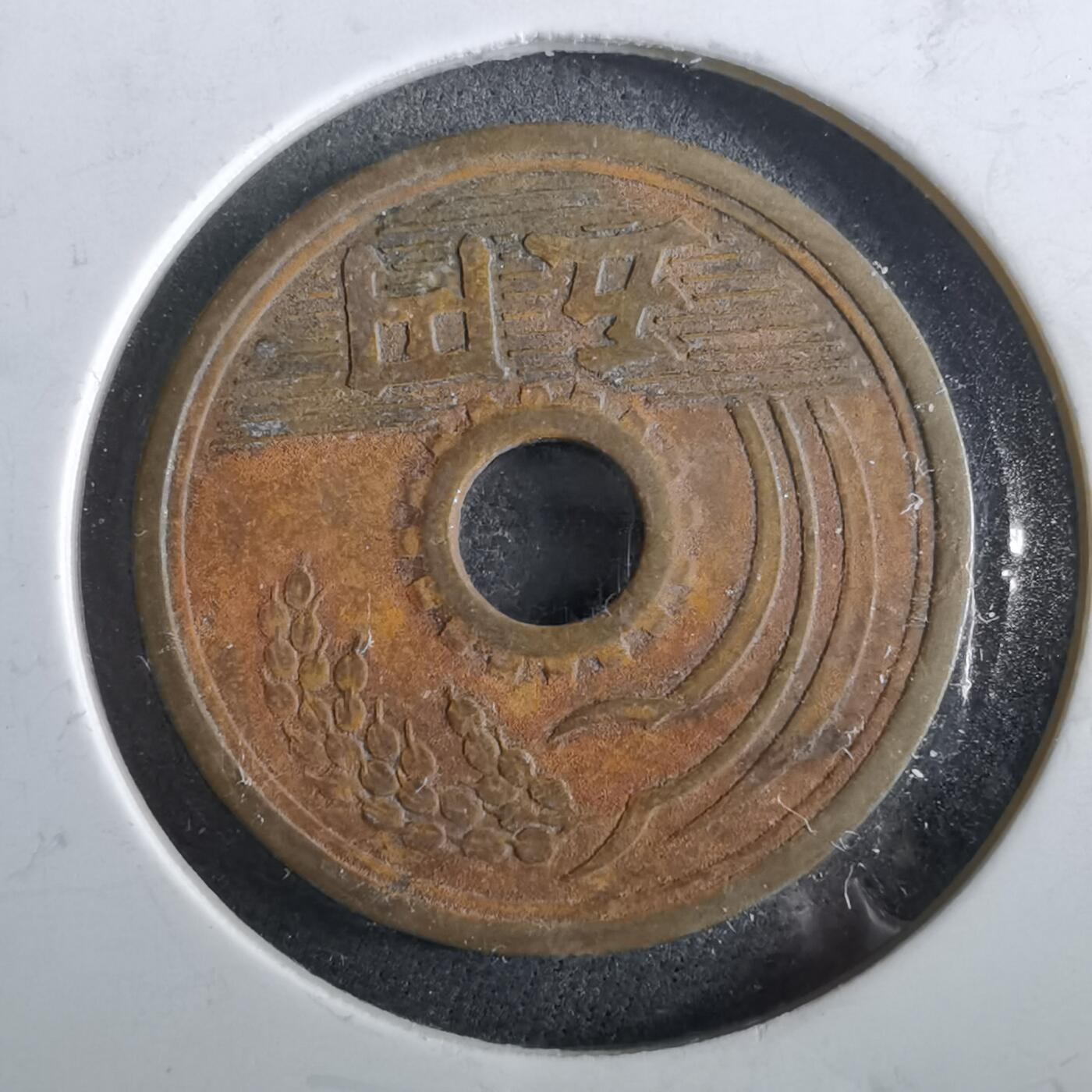 沼泽如烟--第964场