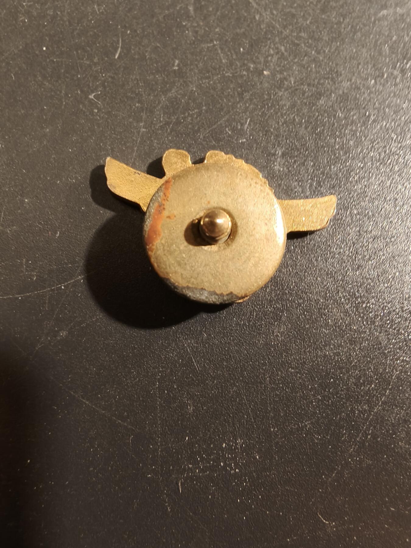 老王徽章第177期 美国海军预备役证章