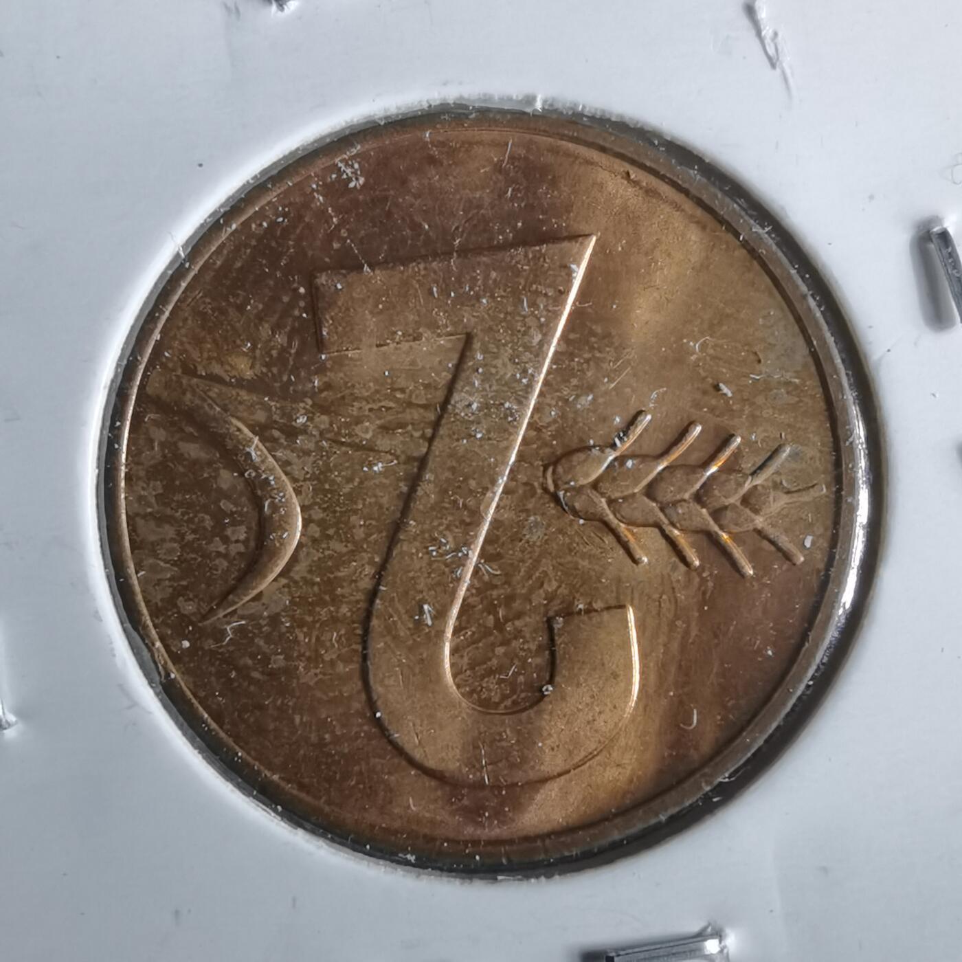 沼泽如烟--第964场