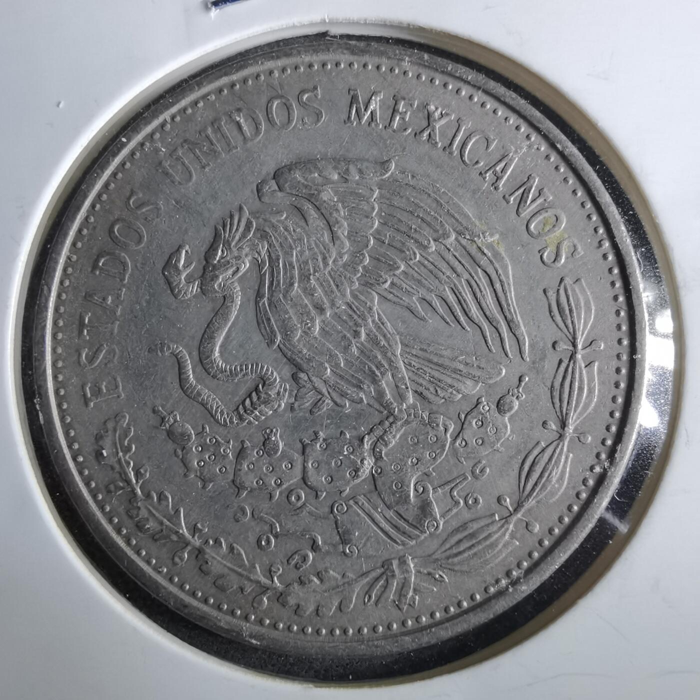 沼泽如烟--第964场