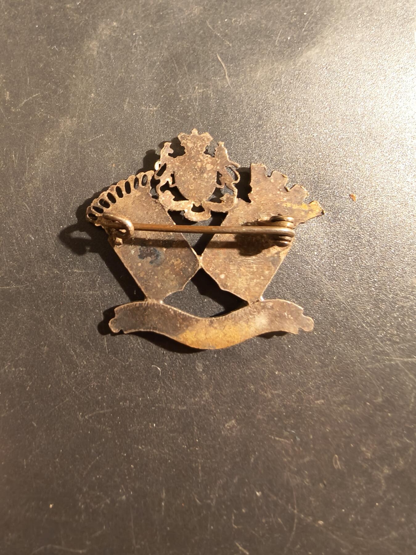 老王徽章第177期 英国一战远征军贝蒂纳战役证章