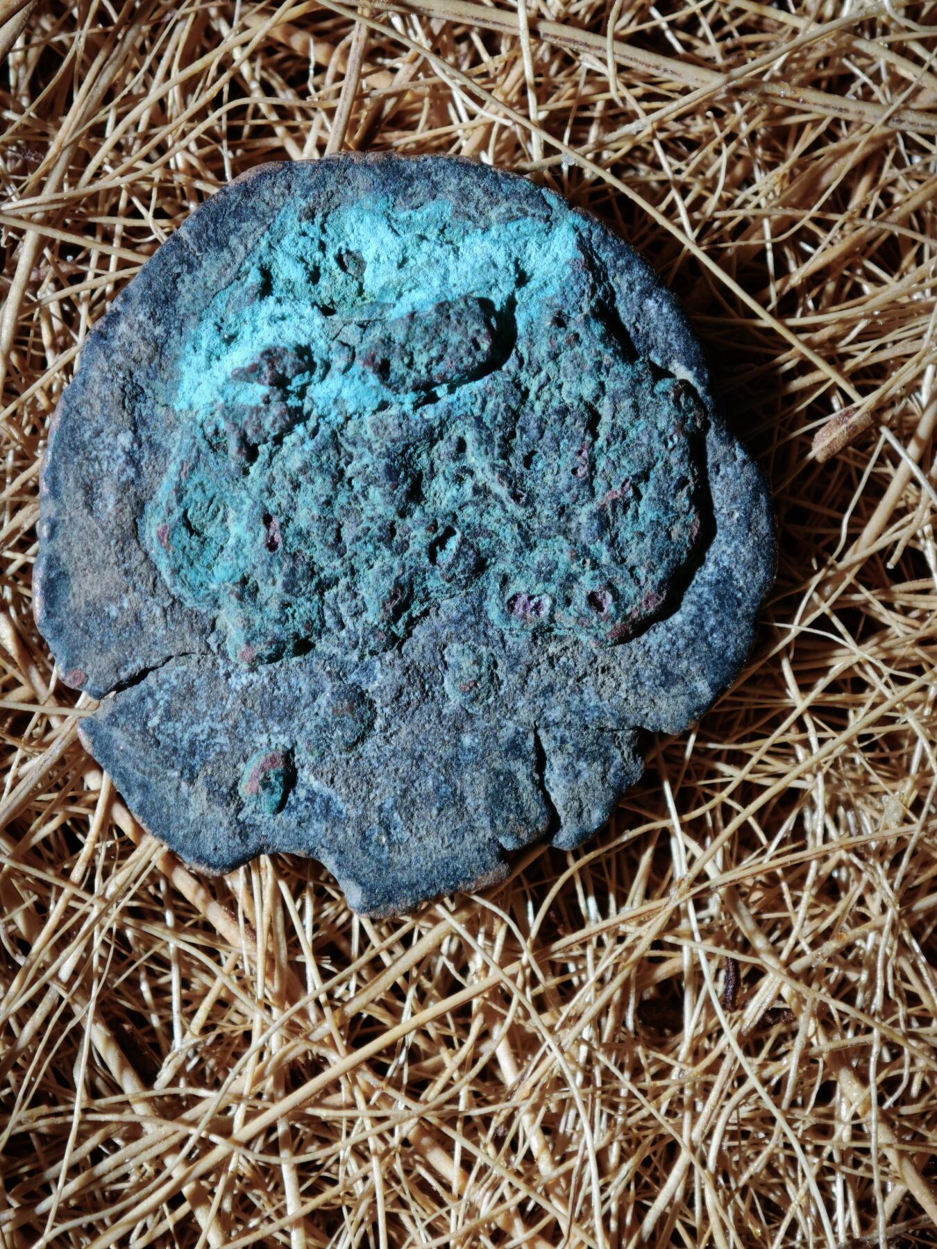 108期新疆红钱粟特钱币丝路钱币专场 B察合台汗国铜币