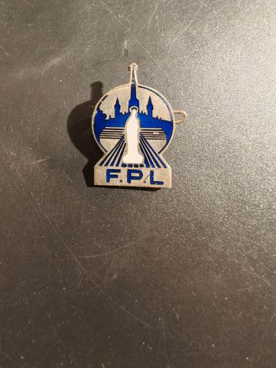 老王徽章第177期 - 法国卢尔德大众家庭协会证章