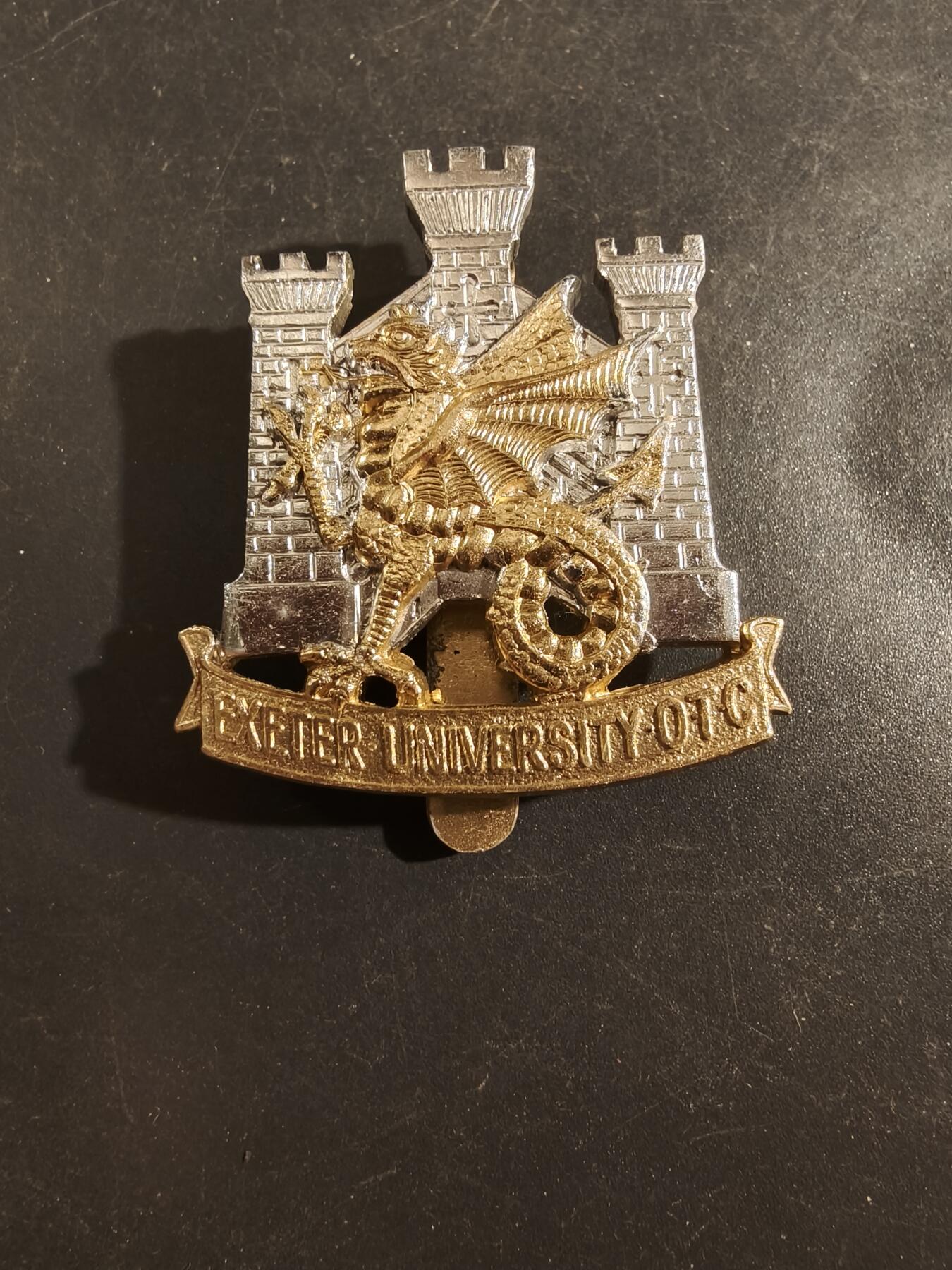 老王徽章第177期