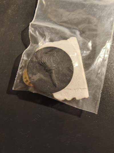 老王徽章第177期 - 美国预备军官团领章    低可视度