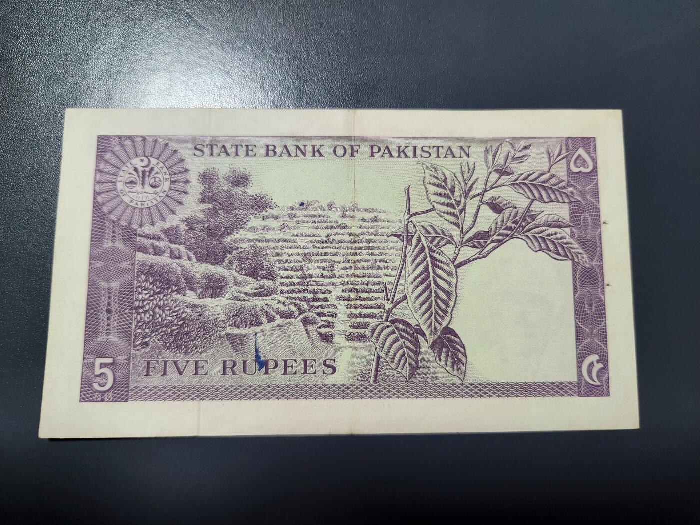 1月17号晚上8点 外国纸币自动截拍第8场