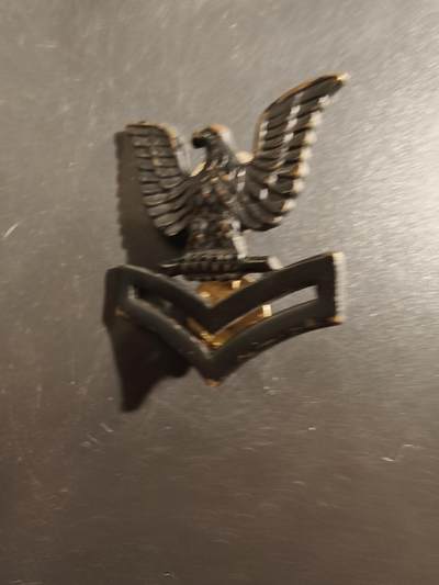 老王徽章第177期 - 美国海军二级士官（E-5）领章